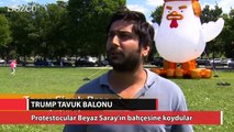 Protestocular Beyaz Saray'ın bahçesine dev Trump Tavuk balonu koydular