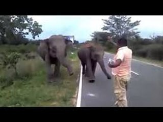 Man Made Miracle _ Elephant Control