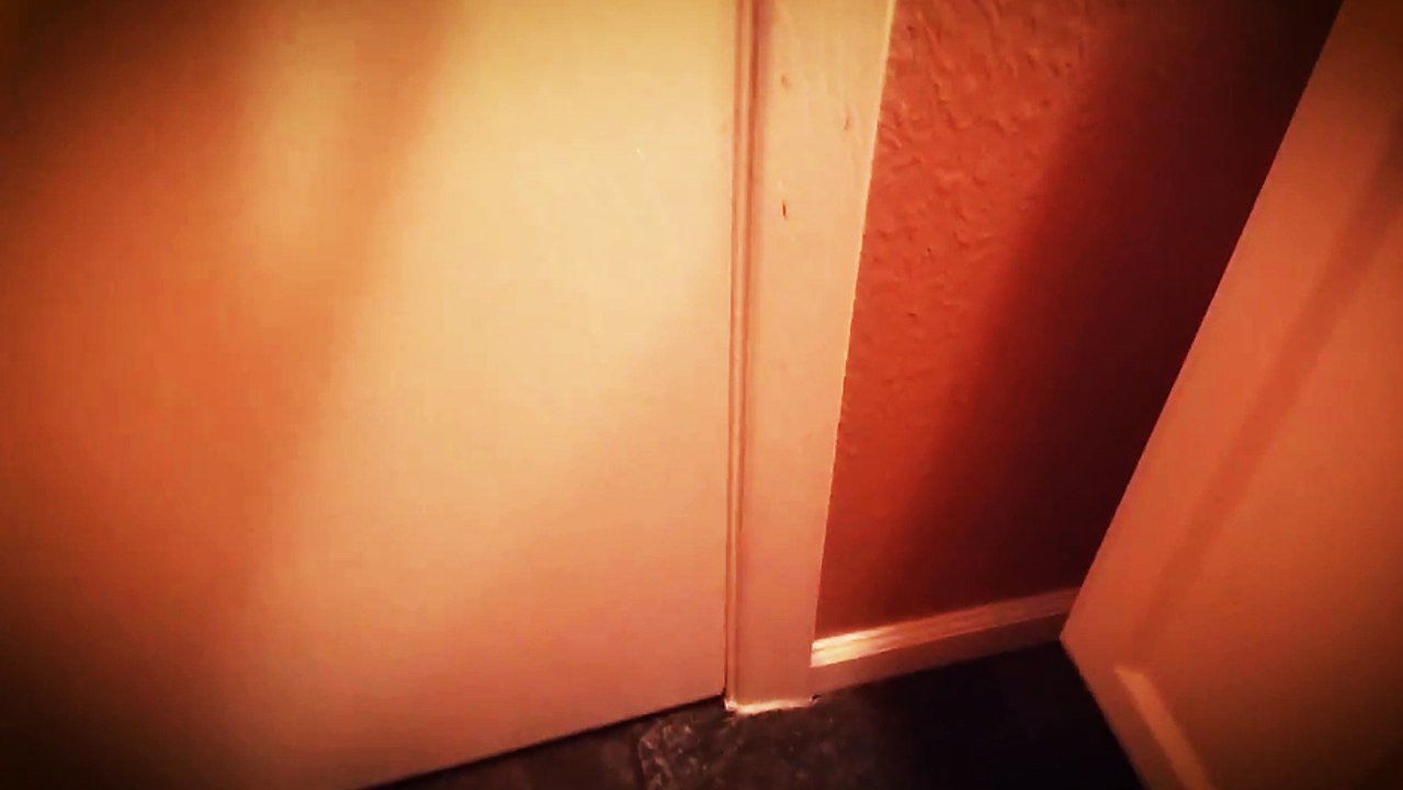 Voilà ce que mon chat adore me faire tout les matins !