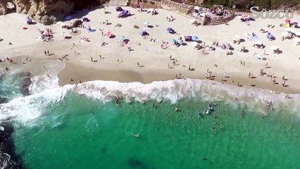 Ender görülen balina türü insanlarla birlikte yüzdü