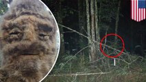 Don't shoot the yeti! Police warn public following bigfoot sighting