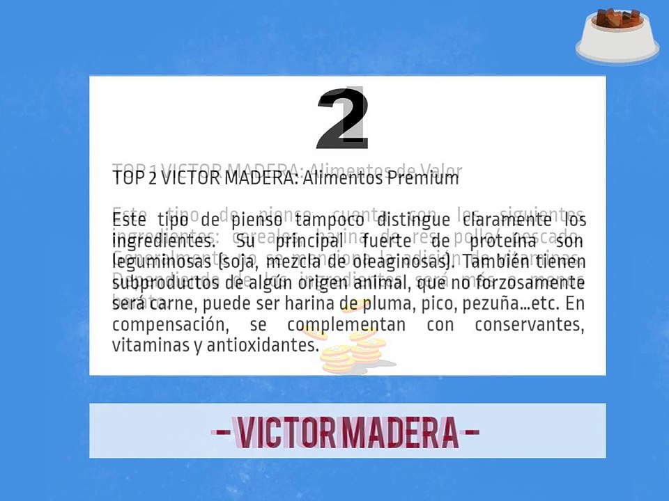 Victor Madera CVC ¿Cuál es el mejor pienso para su perro