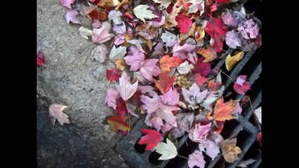 Αποφραξεις Άρτεμις – 2299048776 – Apofraχeis Artemis