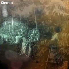 Ada Budak di Balik Kopi