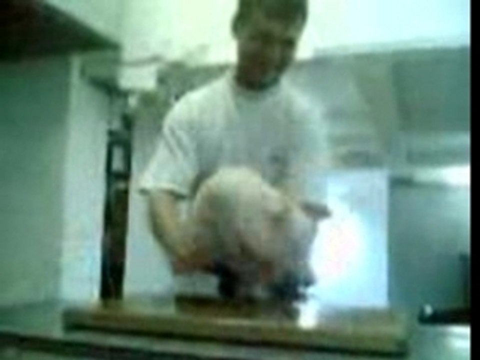 Das schwein.3gp