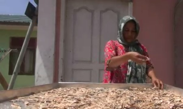 Kuliner “Ikan Kayu” Khas Banda Aceh
