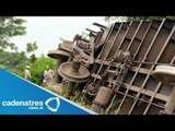 Descarrilamiento de La bestia en Jalisco deja 2 heridos