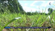 Vendée : les mesures de restriction d'eau coûtent cher aux agriculteurs