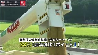 食料自給率　２３年ぶりの低水準に｜ニュース 動画 News24h