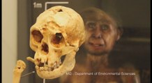 Los humanos modernos llegaron a Sumatra hace más de 60.000 años