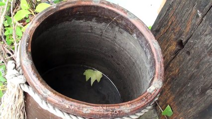 A drop or droplet is a small column of liquid