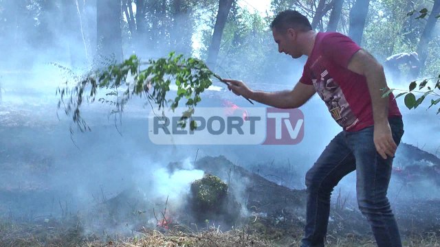 Report TV - Tiranë, zjarr te kodrat e Liqenit Artificial