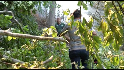 Скачать видео: VIJON BETEJA ME FLAKET NE DISA ZONA TE VENDIT, 11 VATRA ZJARRI, NE JUG NDERHYJNE AVIONET GREK LAJM