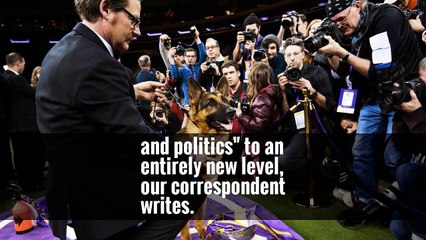 Donald Trump, Jacob Zuma, Google: Your Tuesday Briefing