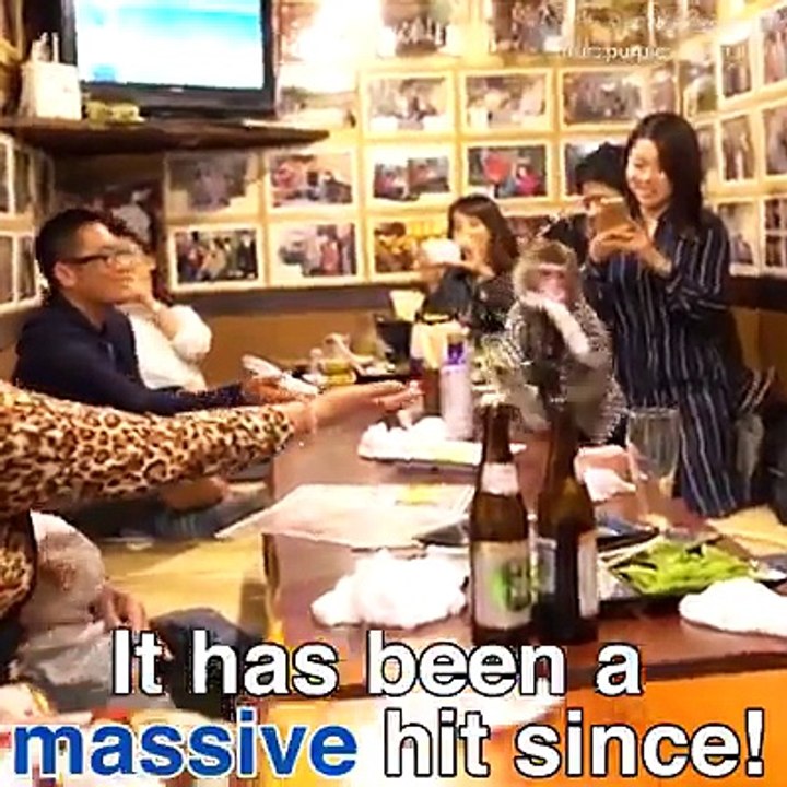 The Monkey Waiter