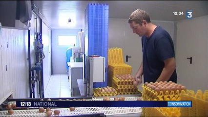 Les aviculteurs tentent de rassurer après le scandale des oeufs contaminés