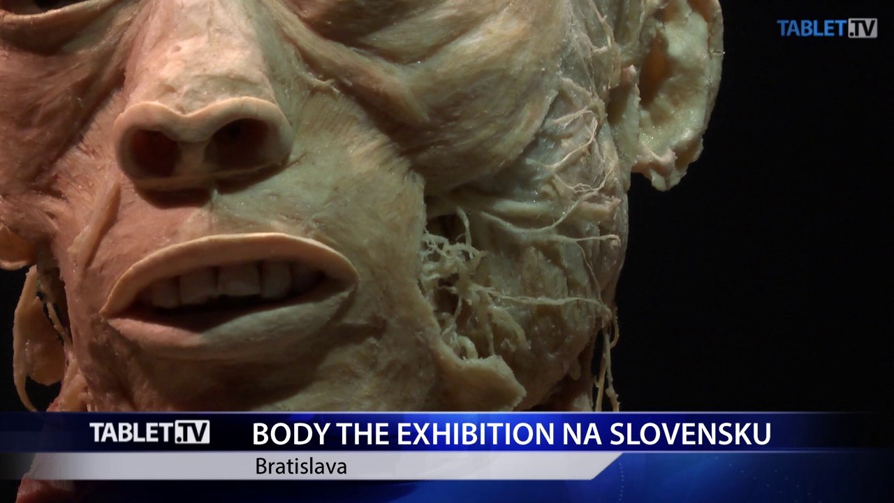 V Bratislave otvárajú výstavu mŕtvych tiel, vyvoláva rôzne reakcie