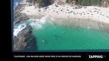 Californie : Une baleine grise filmée près d'un groupe de nageurs (Vidéo)