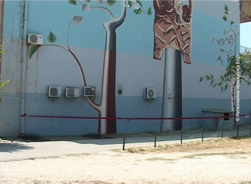 Opasnost od rušenja dela fasade na Domu kulture, 10. avgust 2017. (RTV Bor)