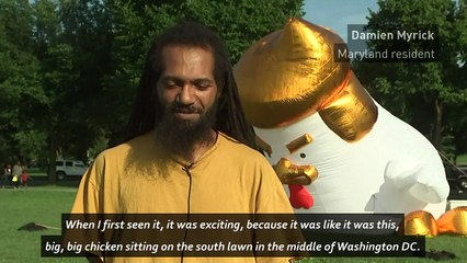 Super-sized Trump chicken appears at White House