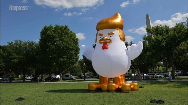Devant la Maison blanche, Trump en poulet géant