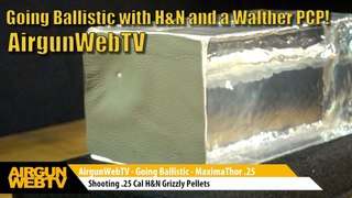 Going Ballistic 2017! Small Bore Lethality brought to you by H&N Pellets - Walther MaximaThor .25