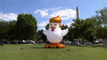 Washington: il Trump-pollo in visita alla Casa Bianca, con un messaggio ben preciso