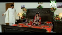 Haya Kay Rang Episode 133 In High Quality on Ary Zindagi 10th August 2017