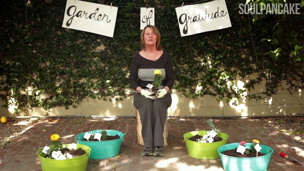 Garden of Gratitude! ~ Man on the Street