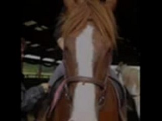 Hommage à nos disparus