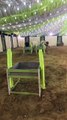 Jamal Cattle Farm Bulls Unloading 2017 - Cow Mandi 2017 - Eid ul Azha 2017