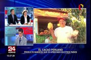 El cacao peruano es muy apreciado en muchos países del mundo