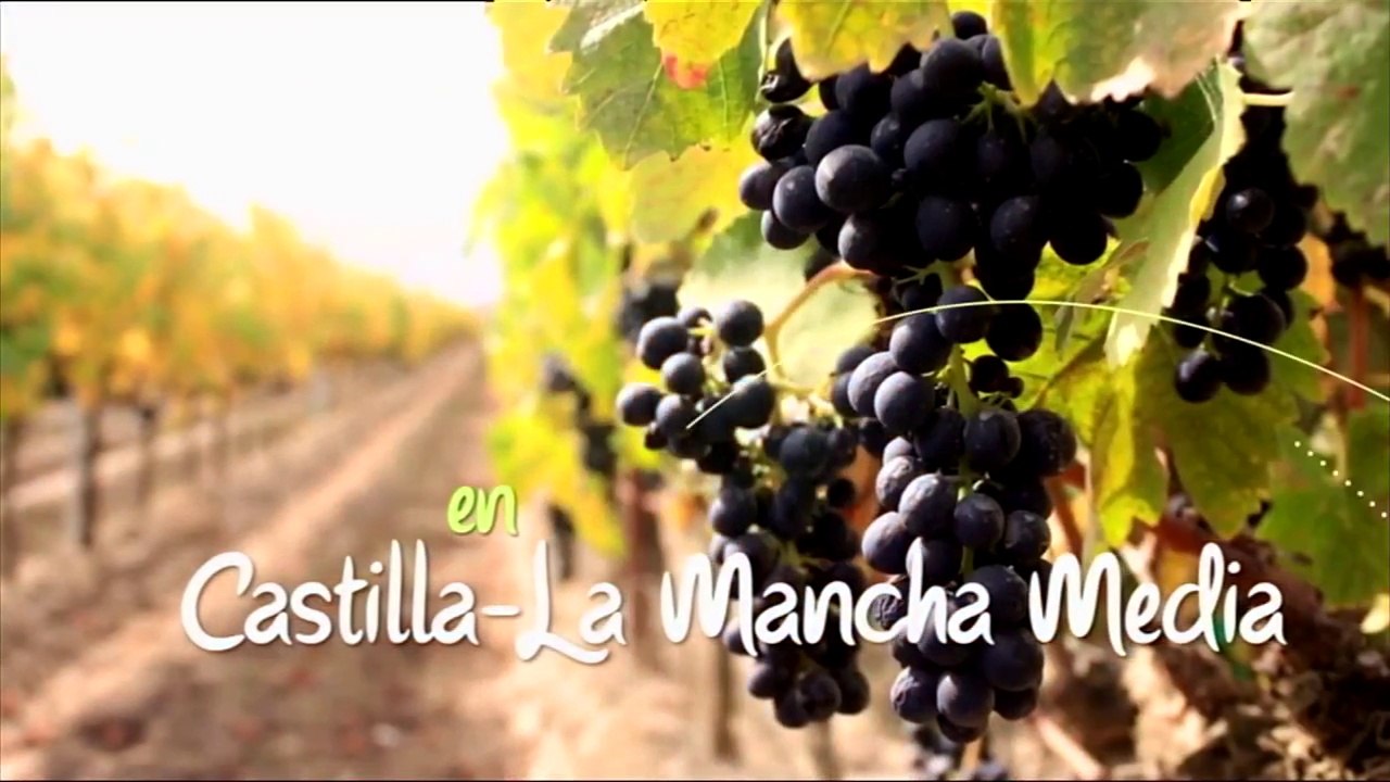 CMM (Castilla-La Mancha Media) - Verano 2017 - Cortinilla 'Tiempo de Vendimia'