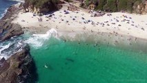 Enorme ballena nada entre bañistas sin que éstos se percaten