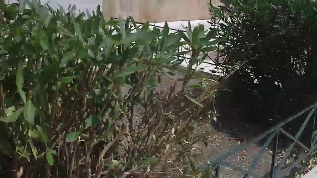 Thermopylae monument, 300 Spartans, leonida