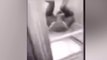 Snapchat video shows babysitters putting infant in refrigerator