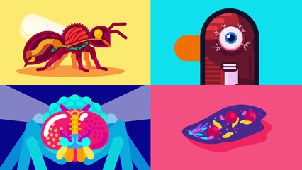 What Happens If We Throw an Elephant From a Skyscraper? Life & Size 1