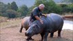 Meet eMMa – A hippo that was rescued when she was just a week old!