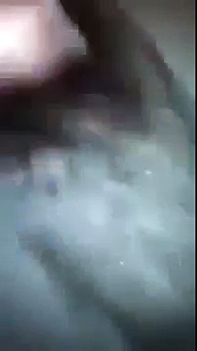 video-1495735196