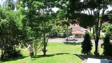 BUDGET CASEY NEISTAT