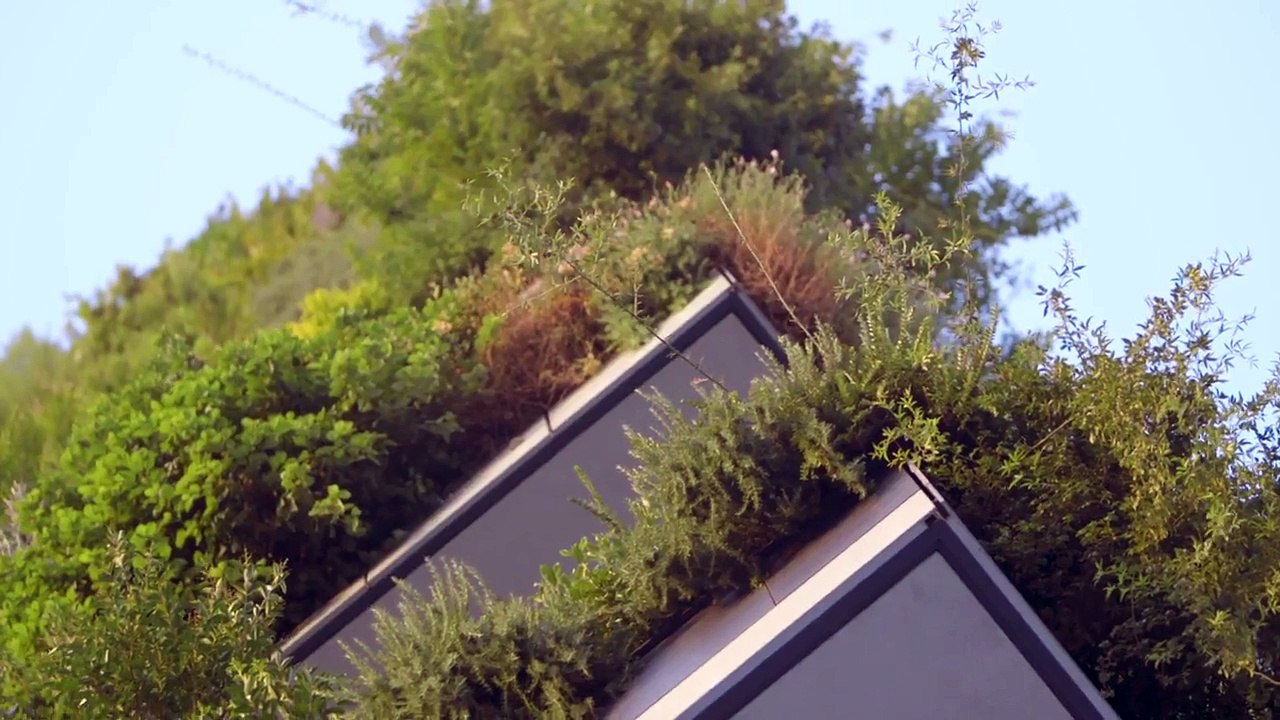 These skyscrapers suck pollution from the air