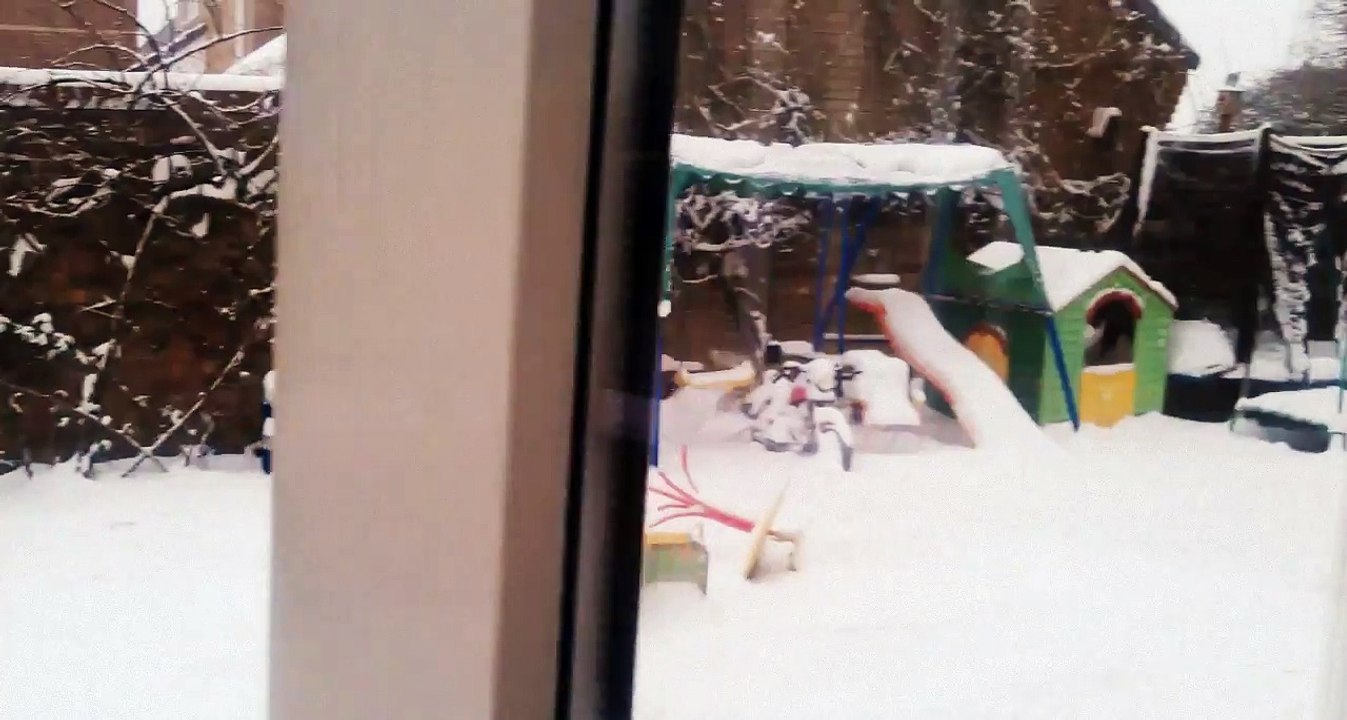 Amber - my bonkers dog enjoying the snow