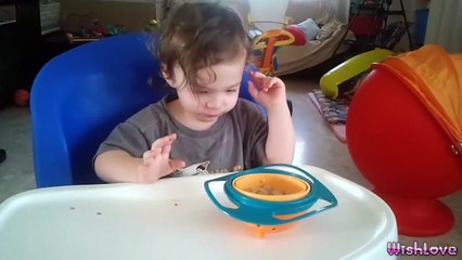 KIDS DINNER PLATE (PRODUCT REVIEW)