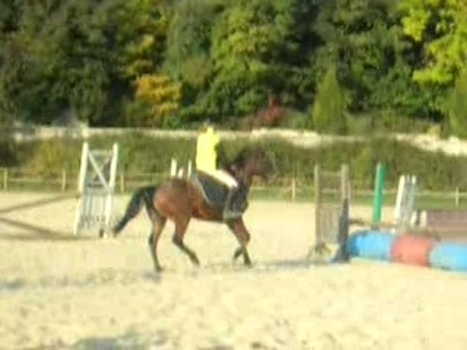 Moi et Mélo ( croisillon , oxer )