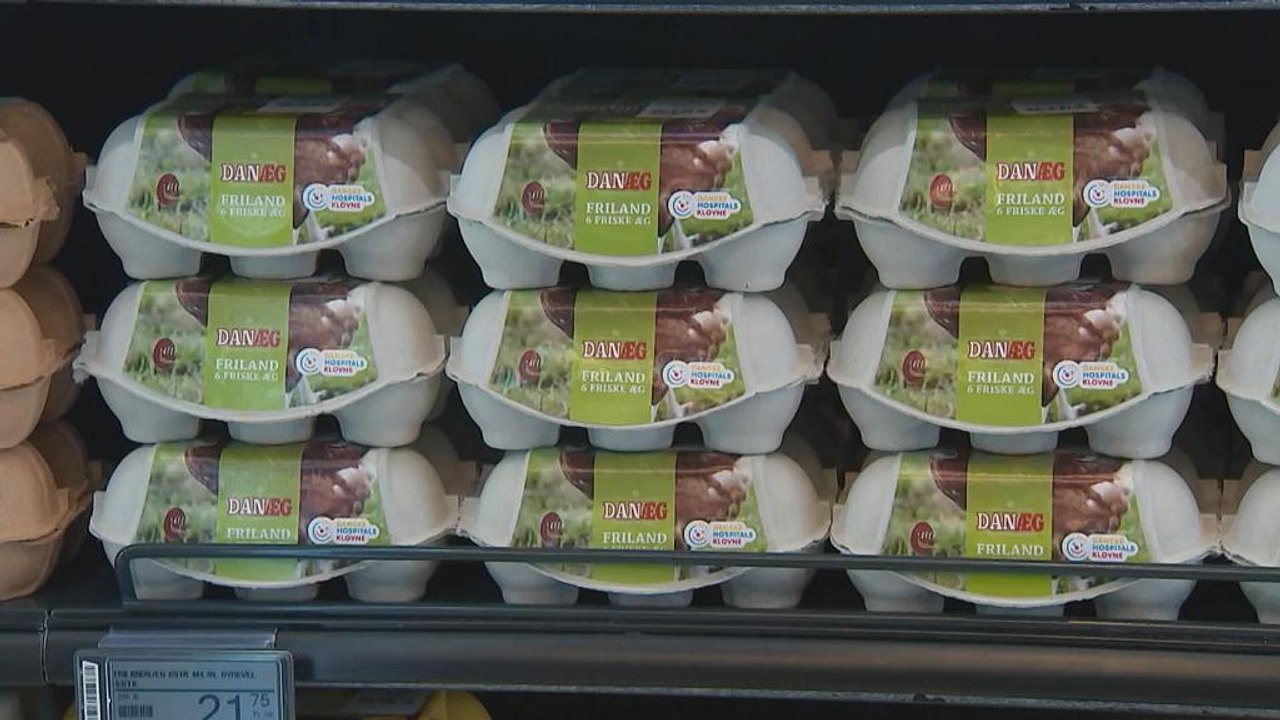 Έρευνες και συλλήψεις σε Ολλανδία και Βέλγιο για το σκάνδαλο με τα αυγά