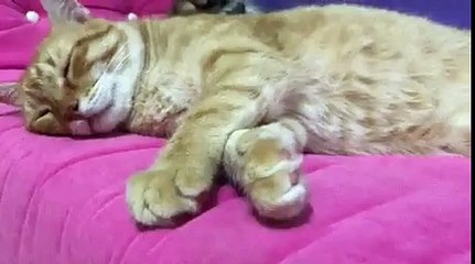 Am I doing this right-