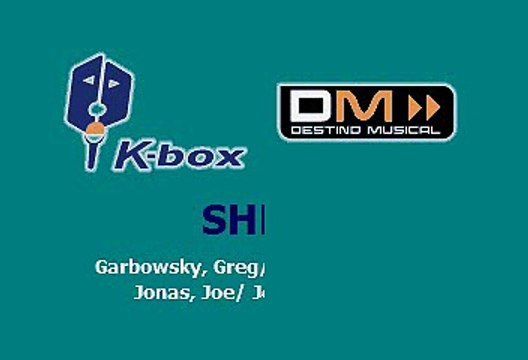 Jonas Brothers - Shelf (Karaoke)