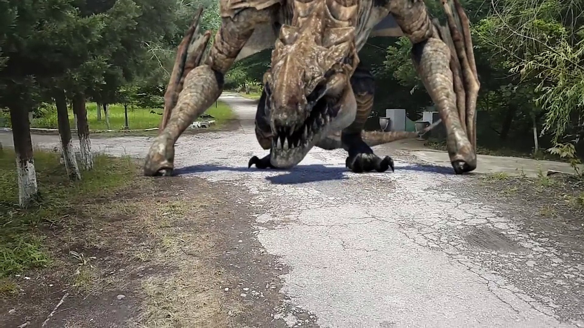 real dragon sightings 2022