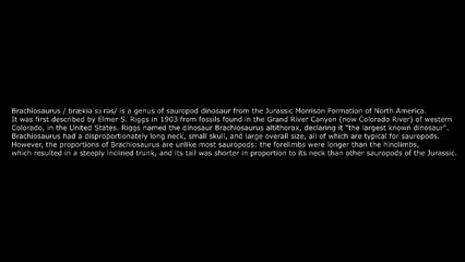 Dinosaur Caught On Camera in Barbados & Spotted In Real Life clip 5