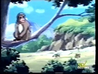 Cari amici animali (Anime yasei no sakebi) ep: Le due scimmiete